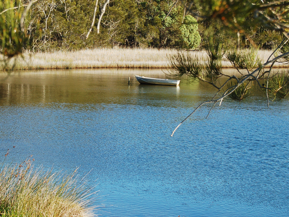 congo creek